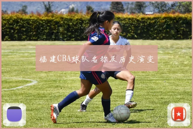 福建CBA球队名称及历史演变