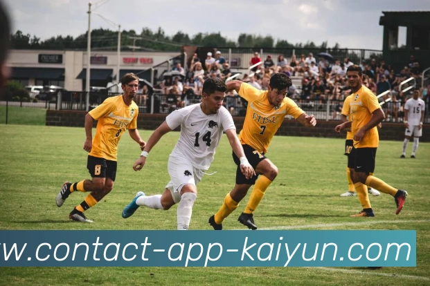 App Interface Preview